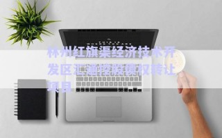 林州紅旗渠經(jīng)濟(jì)技術(shù)開發(fā)區(qū)匯通控股債權(quán)轉(zhuǎn)讓項(xiàng)目