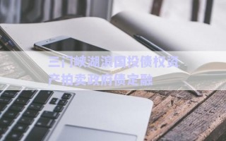 三門(mén)峽湖濱國(guó)投債權(quán)資產(chǎn)拍賣(mài)政府債定融