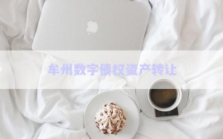 牟州數(shù)字債權資產轉讓