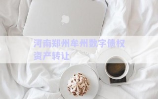 河南鄭州牟州數(shù)字債權(quán)資產(chǎn)轉(zhuǎn)讓