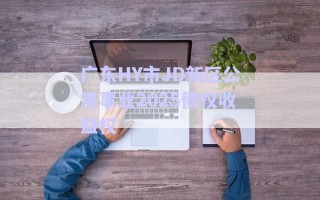 廣東HY市JD新區(qū)公用事業(yè)2025債權收益權