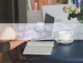新安宏實產投2025年債權資產