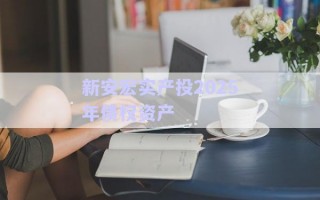 新安宏實產投2025年債權資產