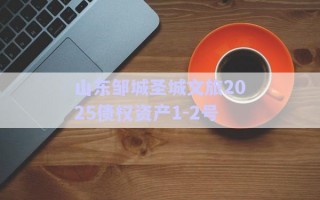 山東鄒城圣城文旅2025債權(quán)資產(chǎn)1-2號(hào) 山東鄒城圣城文旅2025債權(quán)資產(chǎn)1-2號(hào)