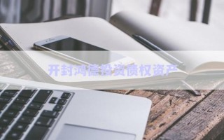 開(kāi)封鴻德投資債權(quán)資產(chǎn) 開(kāi)封鴻德投資債權(quán)資產(chǎn)