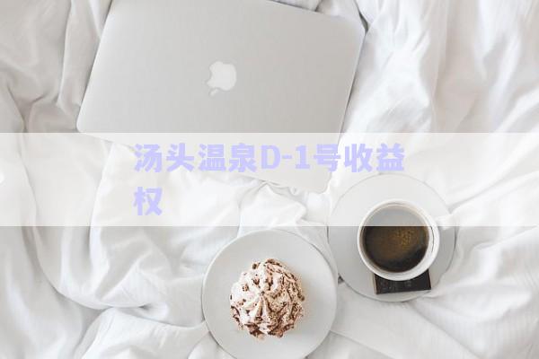 湯頭溫泉D-1號收益權-第1張圖片-政信固收網(wǎng)