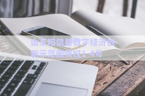 山東陽信縣數(shù)字經(jīng)濟(jì)創(chuàng)新示范園債權(quán)1-4號(hào)-第1張圖片-政信固收網(wǎng)