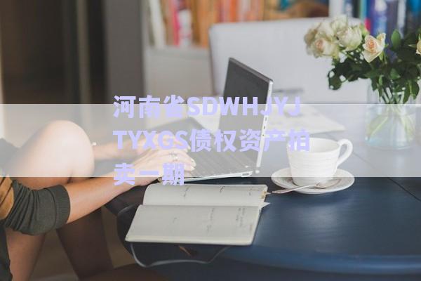 河南省SDWHJYJTYXGS債權(quán)資產(chǎn)拍賣一期-第1張圖片-政信固收網(wǎng)